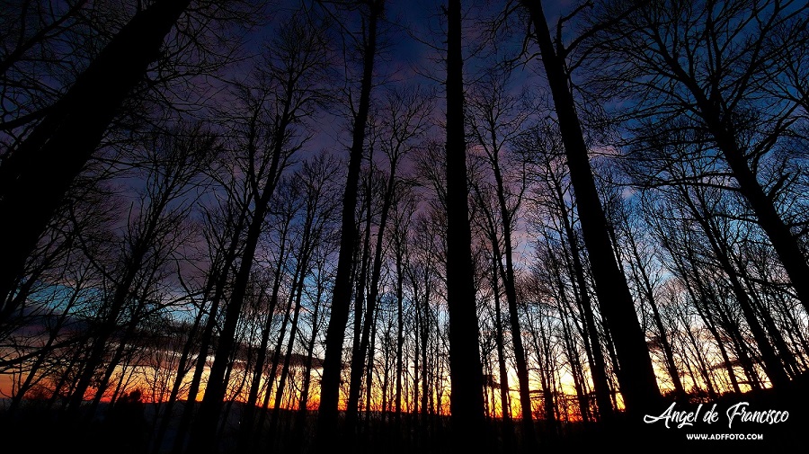 Taller de Fotografía de Naturaleza y Paisajes Nocturnos  en El  Valle de Iruelas  (Avila) 