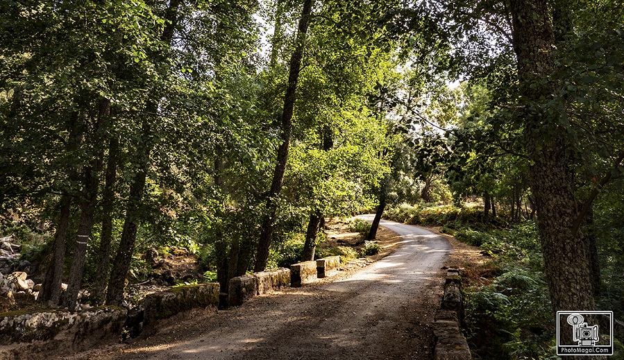 Taller de Fotografía de Naturaleza y Paisajes Nocturnos  en El  Valle de Iruelas  (Avila) 