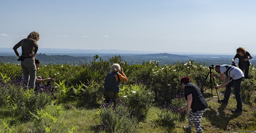 Taller de Fotografía de Paisajes en Gredos