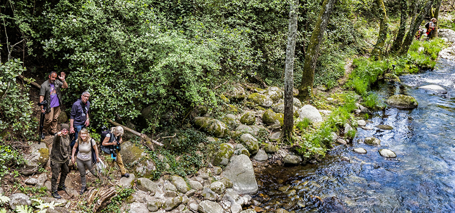 Taller de Fotografía de Paisajes en Gredos