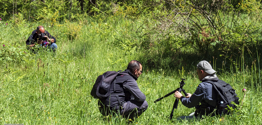 Taller de Fotografía de Paisajes en Gredos