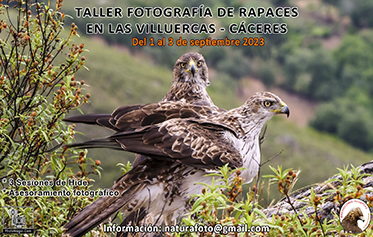 Rapaces de la Dehesa Taller de Fotografía  en el Geoparque de las Villuercas Ibores Jara