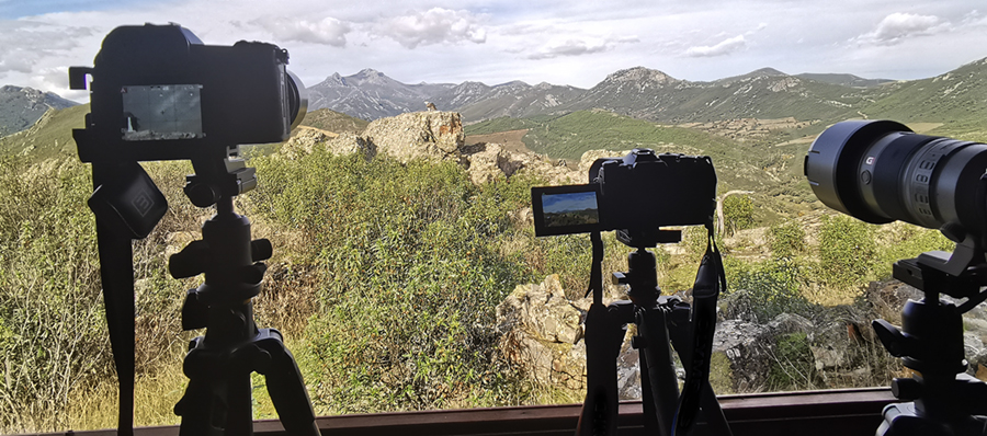 Rapaces de la Dehesa Taller de Fotografía  en el Geoparque de las Villuercas Ibores Jara