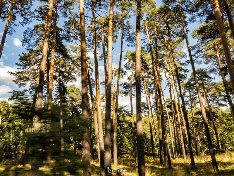 Taller de Fotografía de Naturaleza y paisajes nocturnos en la Sierra de Gredos