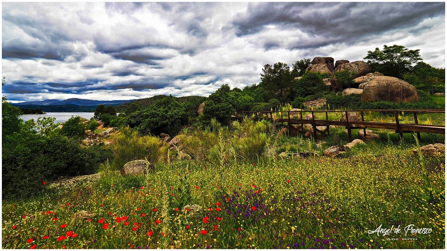 Taller de Fotografía de Naturaleza y Paisajes nocturnos En El Valle de Iruelas (Ávila)