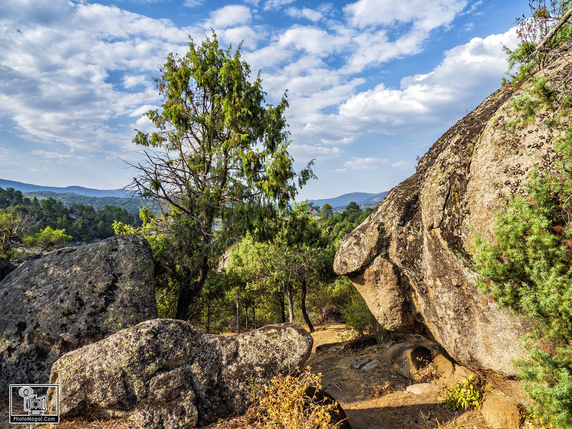 Taller de Fotografía de Naturaleza Otoñal  y Paisajes nocturnos  en el  Valle de Iruelas  (Avila)  