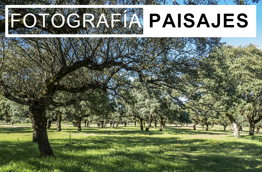 2º Taller de Fotografía de naturaleza y paisajes nocturnos en el Geoparque de las Villuercas Ibores Jara