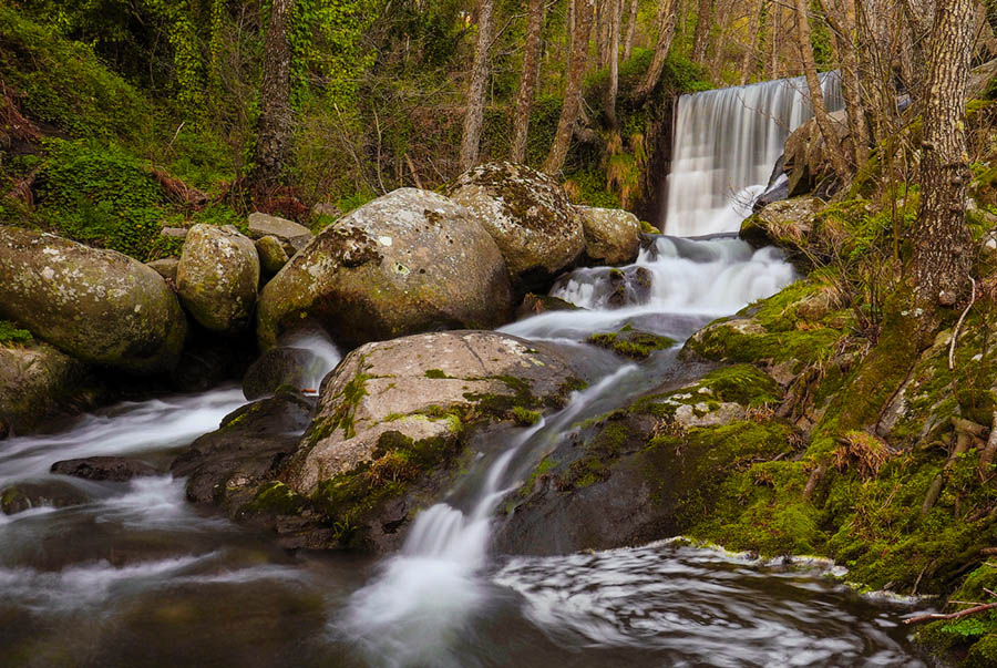 Taller de Fotografía de Naturaleza y Paisajes de otoño