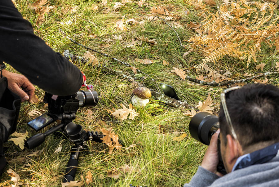 Taller de Fotografía de Naturaleza y Paisajes de otoño