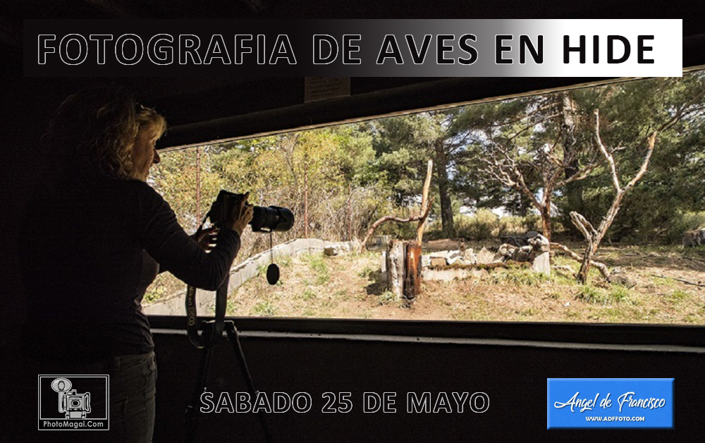 Taller de Fotografía la Primavera en Gredos