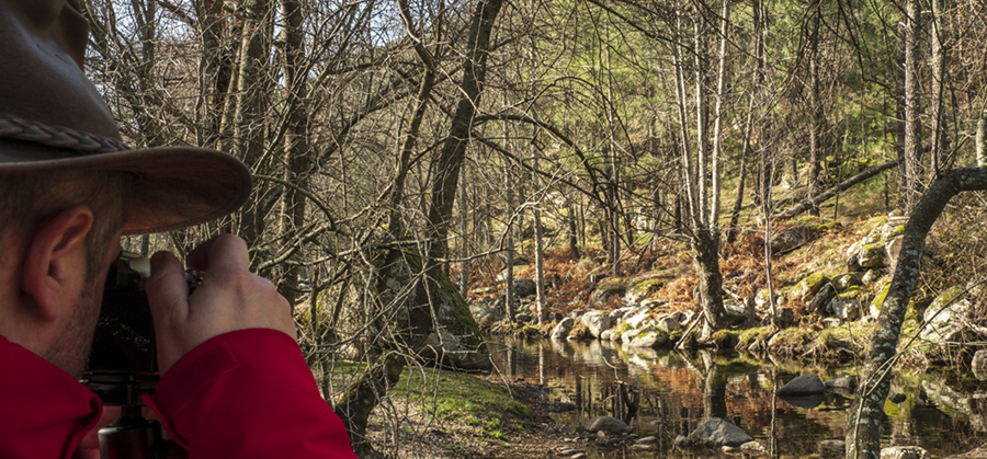 Curso de Fotografía de Paisajes en El  Valle de Iruelas  (Avila)