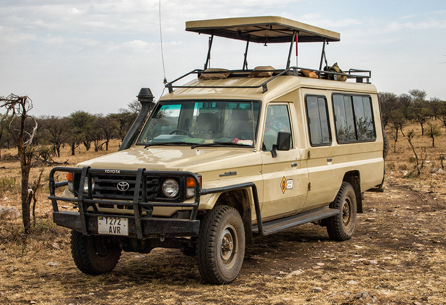 Expedición Simba, Taller-Safari de fotografía en Tanzania