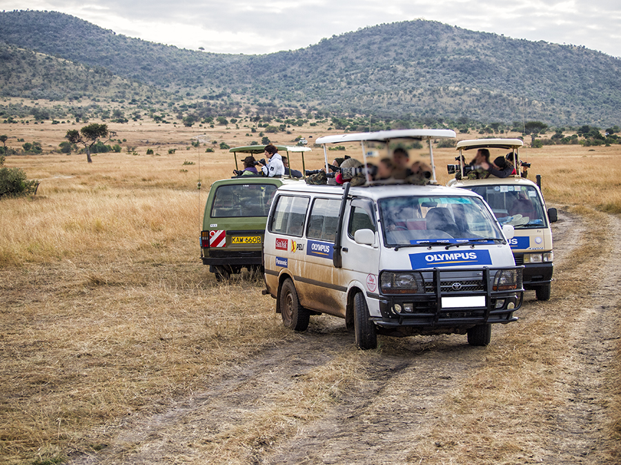 Expedición Simba, Taller-Safari de fotografía en Tanzania